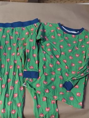 Kids Organic Cotton Green Lion-Print Pajama Set with Navy Trim - 11 Years